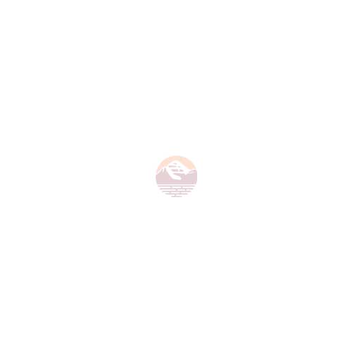 noimage