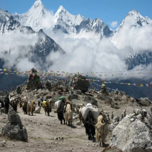 Nepal Travel Blog