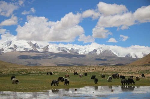 How to Travel from Nepal to Tibet in 2026: Complete Guide for Foreign Travelers