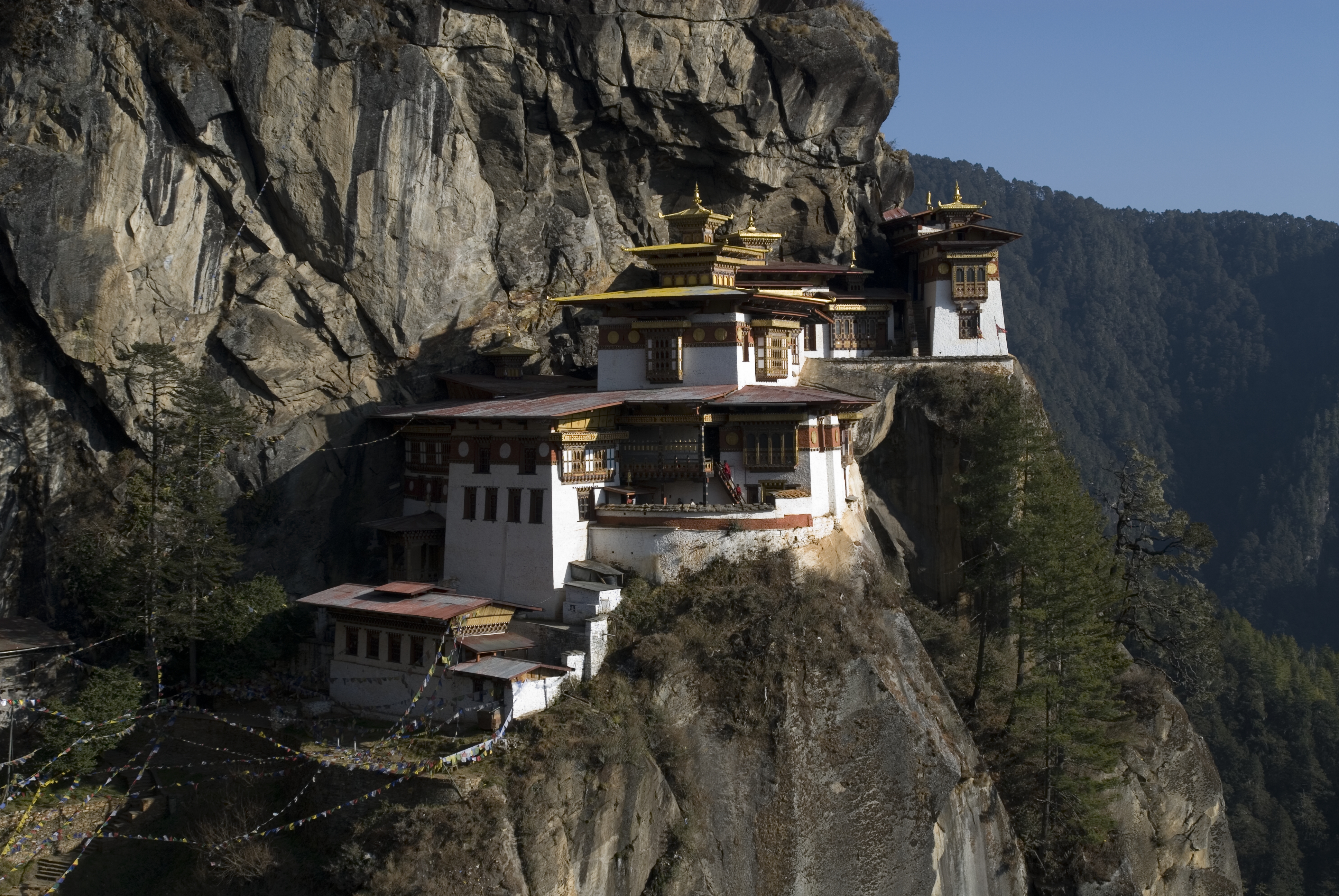 Tiger Nest